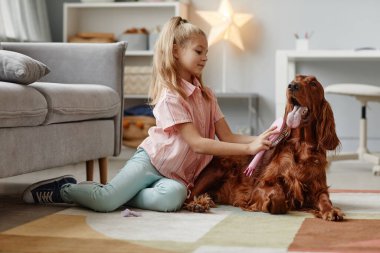 Büyük Köpek Fırçalayan Kız