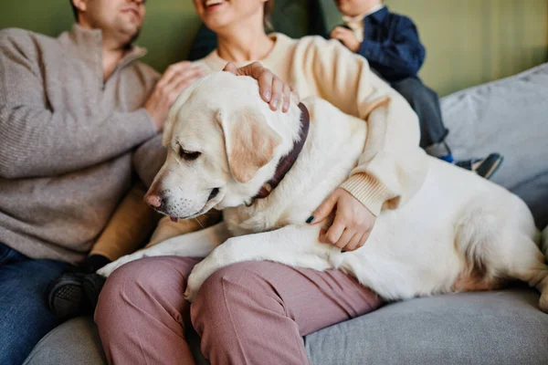 Amado familia perro — Foto de Stock