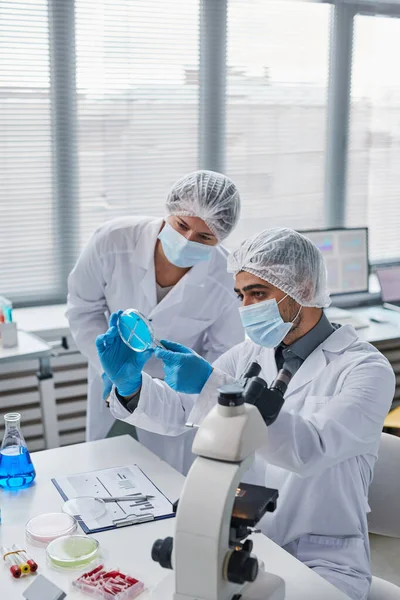 Scientists working with samples in team — Stockfoto