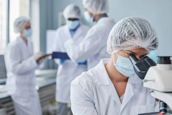 Scientist studying a virus in the laboratory — Stockfoto