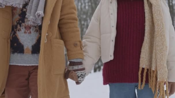 Tilting Slowmo Shot Young Romantic Caucasian Couple Walking Beautiful Winter — Stock videók