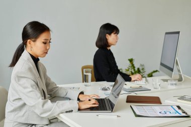 Minimal side view portrait of two young Asian women using computers in modern office, copy space
