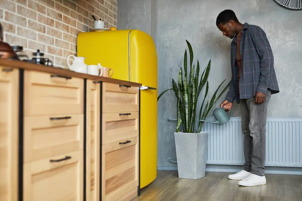 Young Black Man Watering Plants at Home — Stock Photo, Image