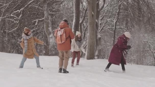 활기차고 민족적 친구들 숲에서 스노볼을 야외에서 즐거운 시간을 보내는 — 비디오