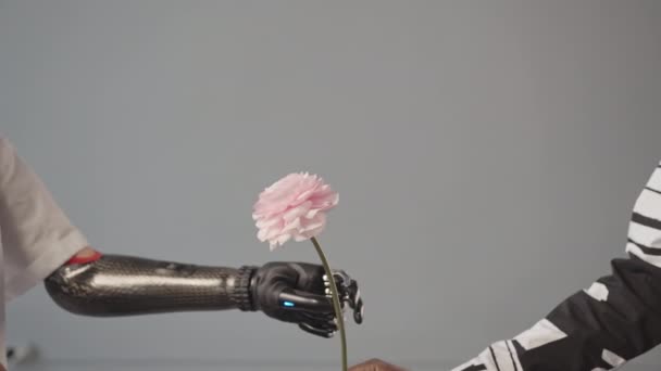 Midsection Powolne Ujęcie Nierozpoznawalnej Kobiety Biorącej Piękny Różowy Kwiat Jej — Wideo stockowe