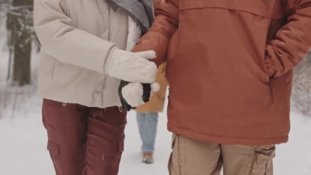 中区遅いショットの認識できないカップル手を取りながら歩く美しい冬の森で友人と — ストック動画