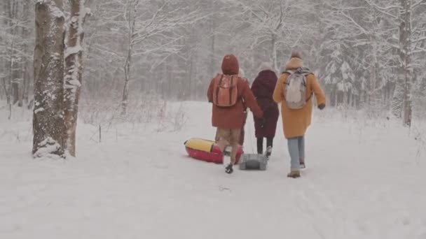 Retrovisor Slow Shot Cuatro Amigos Felices Con Tubo Nieve Divirtiéndose — Vídeos de Stock