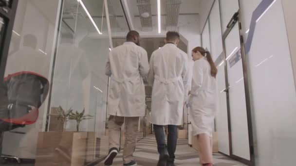 病院の廊下を歩いて研究室のコートで若い医師のチームの後方ビューの遅いショットは会話を持っています — ストック動画
