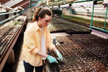 Çalışan genç bir çiftçi kadın fidelerle birlikte büyük bir masanın yanında duruyor.