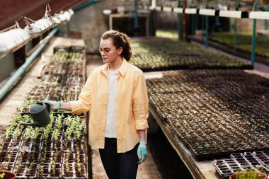 Çağdaş bahçıvan, sulama tenekesi ile toprağa fidanlarla su döker.