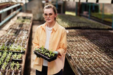Genç, ciddi bir kadın çiftçi elinde lahanalı küçük saksılar tutuyor.