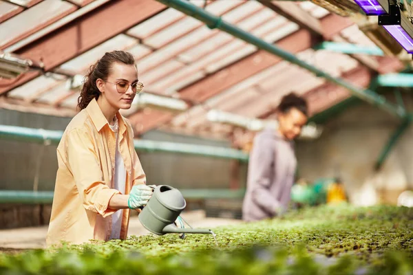 Mujer joven en anteojos y ropa casual regando plantas — Foto de Stock