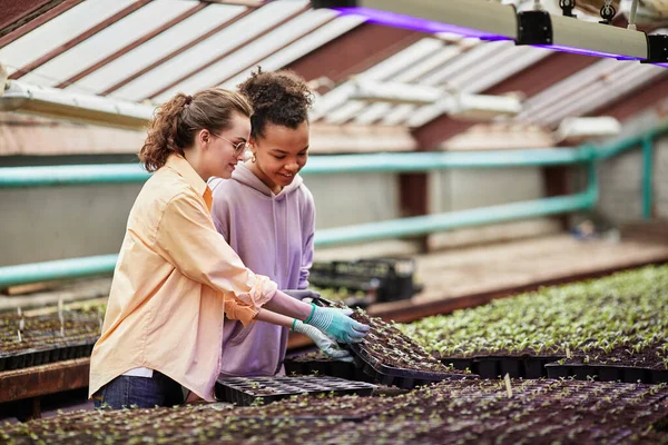 Dos jóvenes agricultoras interracial van a replantar plántulas — Foto de Stock