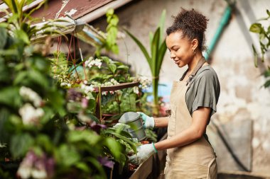 Bahçe çiçeklerini sulayan önlüklü mutlu, melez bir kadın.