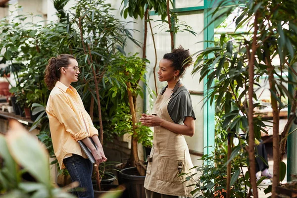 Joven gerente de floristería o orangerie hablando con trabajadora — Foto de Stock