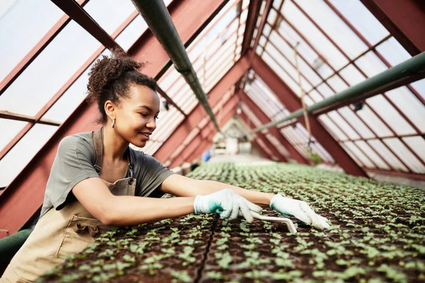 Vista lateral del joven agricultor afroamericano con herramienta de jardín aflojando el suelo — Foto de Stock