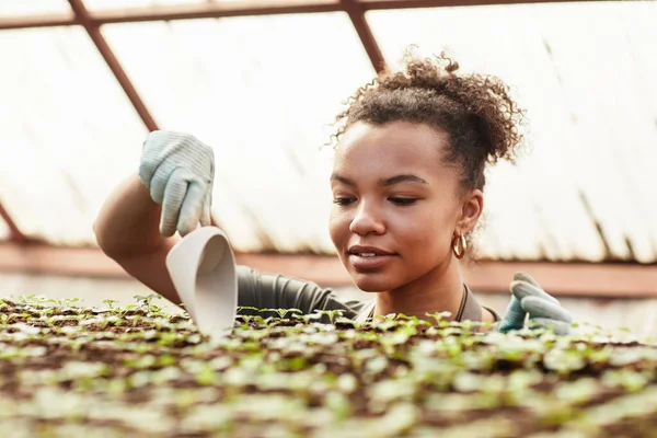Joven bonita mujer negra con herramienta de jardín de plástico blanco replantación de plántulas — Foto de Stock