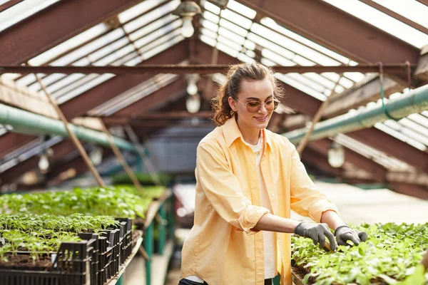 Joven mujer sonriente en ropa de trabajo y guantes replantando plántulas pequeñas — Foto de Stock