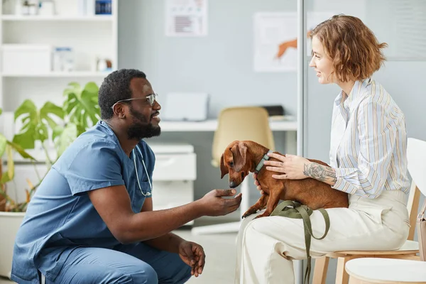 Glad ung sällskapsdjur ägare samråd med afroamerikanska manliga veterinär — Stockfoto