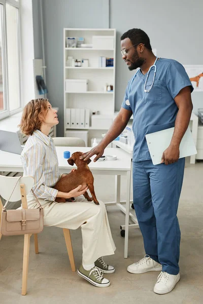 年轻的当代兽医临床医生在蓝色医疗擦洗咨询宠物主人 — 图库照片