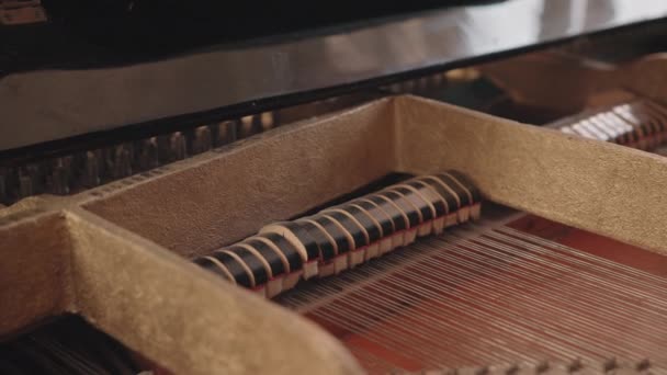 音楽家が演奏しながらピアノの中でハンマーの印象的な文字列の遅いクローズアップ — ストック動画