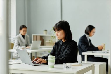 Side view portrait of young Asian woman looking at laptop screen while working in office