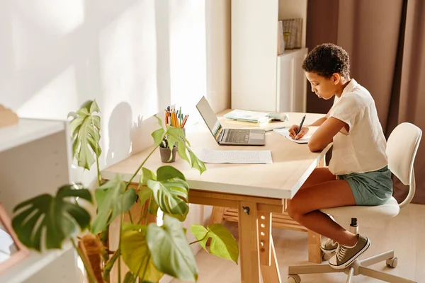 Adolescente estudando em casa na luz do sol — Fotografia de Stock