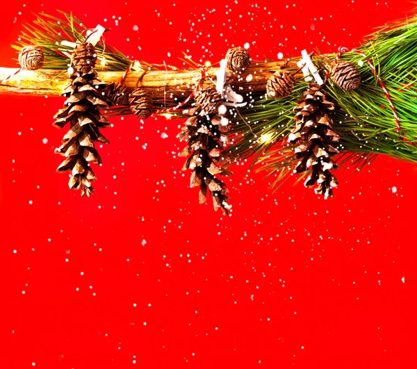 Decoração de Natal de cones de pinheiro no fundo vermelho. Cartão de Natal com lugar para o seu texto. — Fotografia de Stock