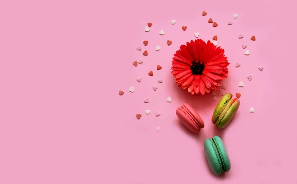 Festive background with gerbera flower and colored macaroons. Creative copy space — Zdjęcie stockowe