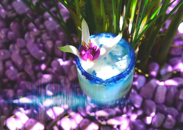 Lavander Fizz, cocktail based on refreshing gin with saffron foam of lavender color on background of purple stones and blue hologram. Summer Color Trends 2022, Attention-grabbing Palettes. Close-up.