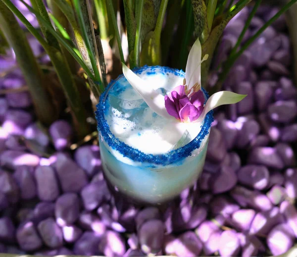 Lavander Fizz Cocktail Based Refreshing Gin Saffron Foam Lavender Color —  Fotos de Stock