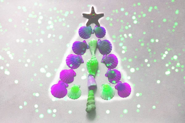 Christmas Tree Made Colored Sea Shells Creative Christmas Background 2023 — стоковое фото