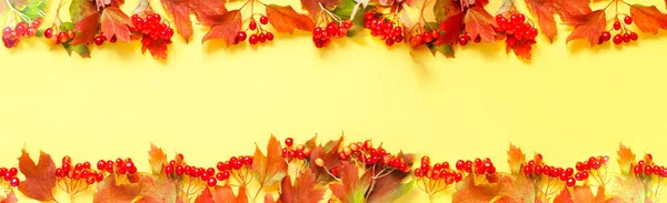 Autumn Leaves Red Viburnum Autumn Composition Yellow Background Creative Copy — Foto de Stock