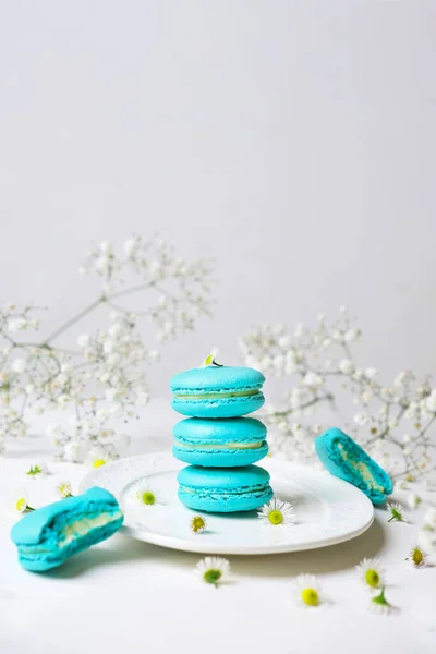 French Blue Macarons Light Background Bold Hues Basis Designs Seasonal — Fotografia de Stock