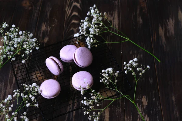 Macaroons Lavanda Francês Fundo Madeira Escura Tons Ousados Para Projetos — Fotografia de Stock