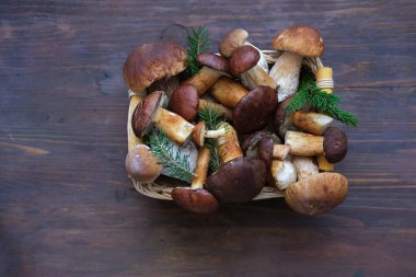 Tahta arka planda hasır kasede farklı taze mantarlar. Autumn Cep Mantarları. Organik gıda mantarı kavramı. 