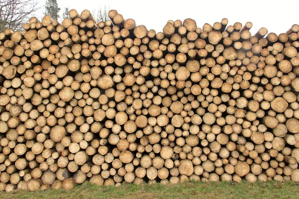 堆放成堆的碎木箱 砍伐的树干堆放在绿草上 堆放在森林的堆放场 也是一个木材储藏区 — 图库照片
