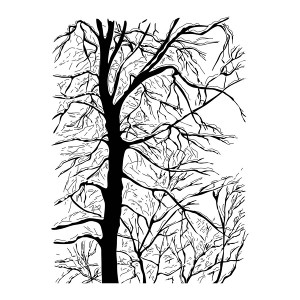 Alberi Senza Foglie Foresta Inverno Autunno Silhouette Nera Sfondo Bianco — Vettoriale Stock