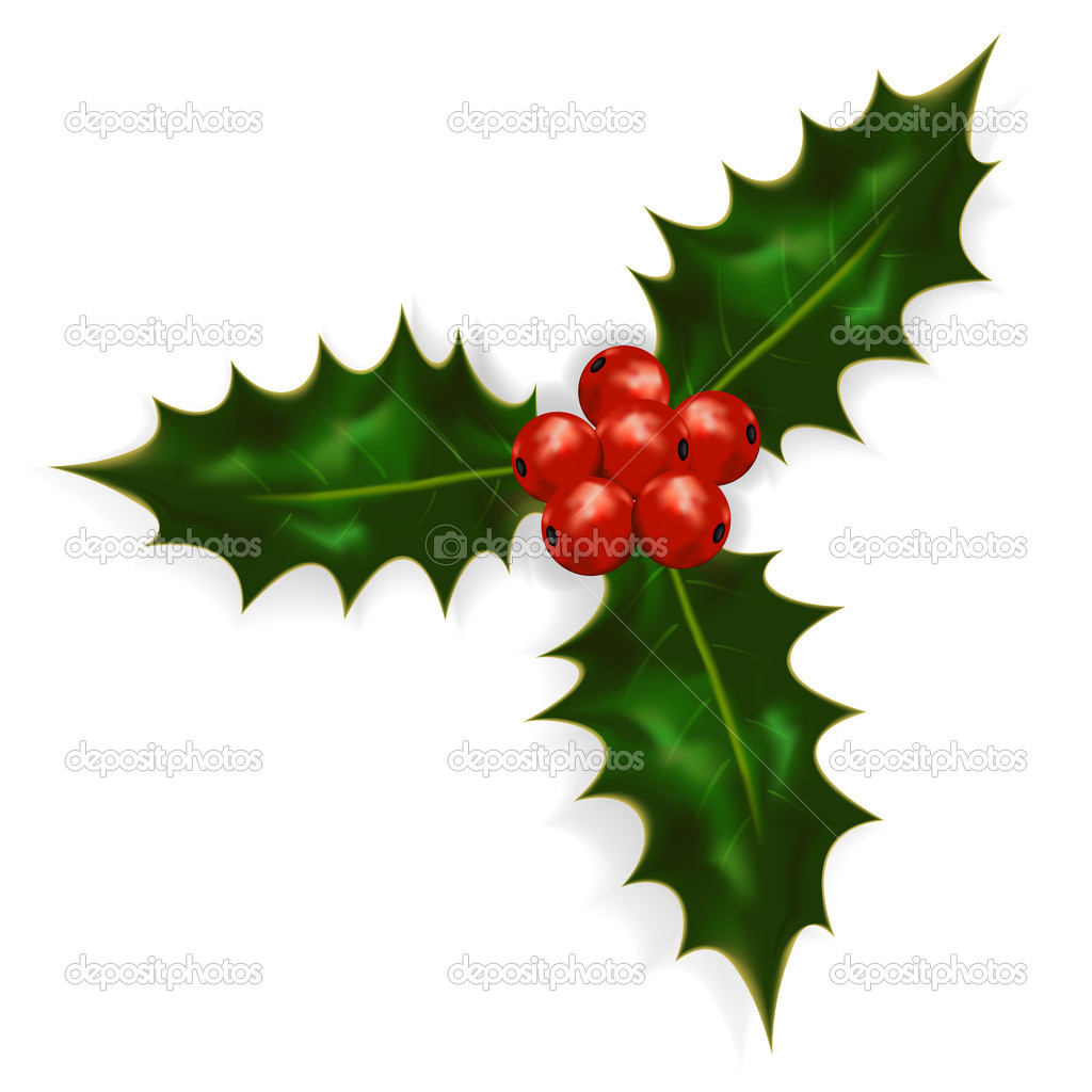 Holly berries