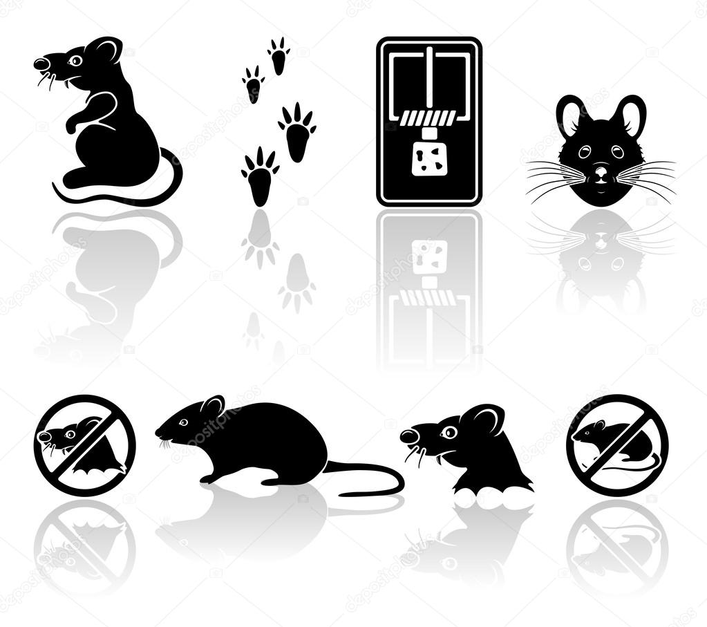 Mouse icons