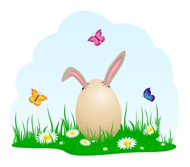 çimenlerin üzerinde yumurta