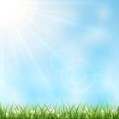 çim ile güneşli arka plan