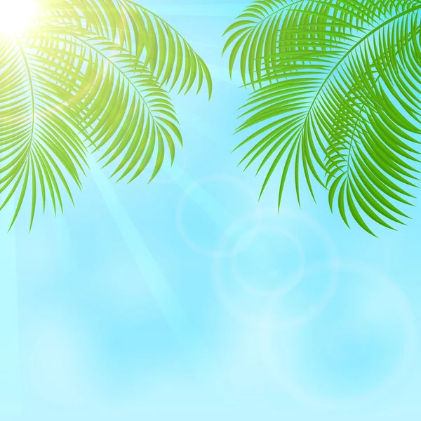 Palm på himmel bakgrund — Stock vektor