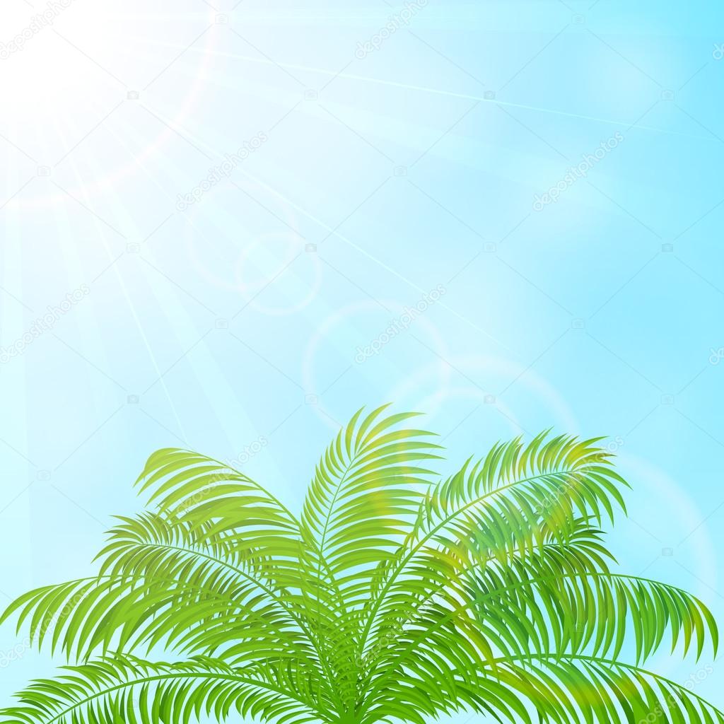 Palm tree on blue sky background