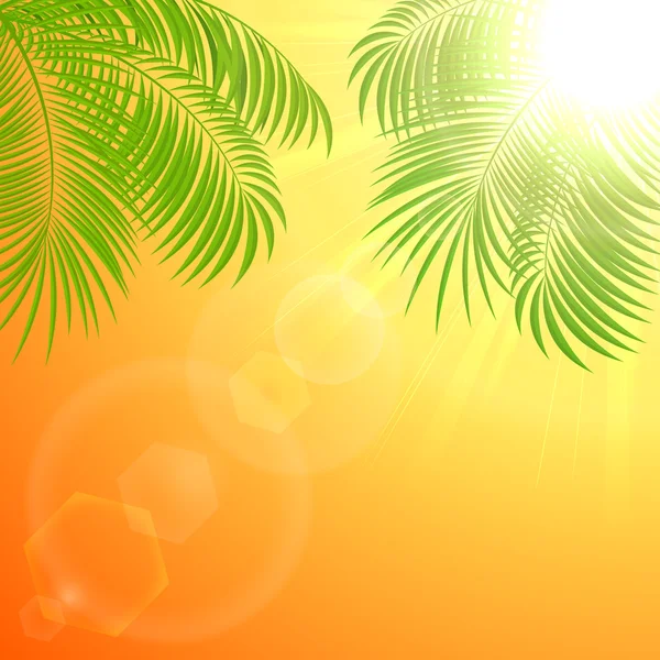 Palm op oranje sunburst — Stockvector