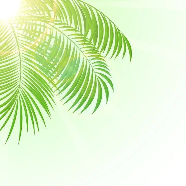 Palmier sur fond de soleil — Image vectorielle