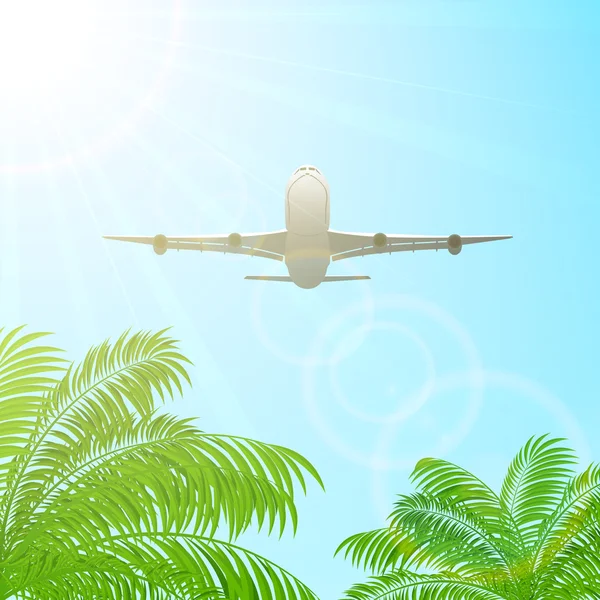 Plane above the palms — Stock Vector