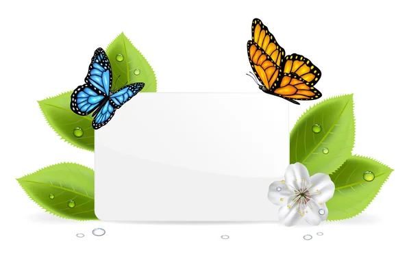 Paper card with butterflies — Stock Vector