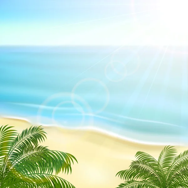 Playa y palmeras — Vector de stock