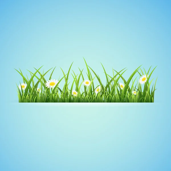 Bannière avec herbe — Image vectorielle